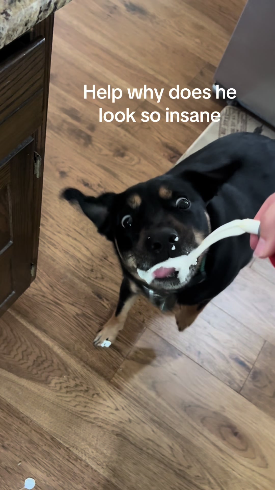 @Finneyfinn