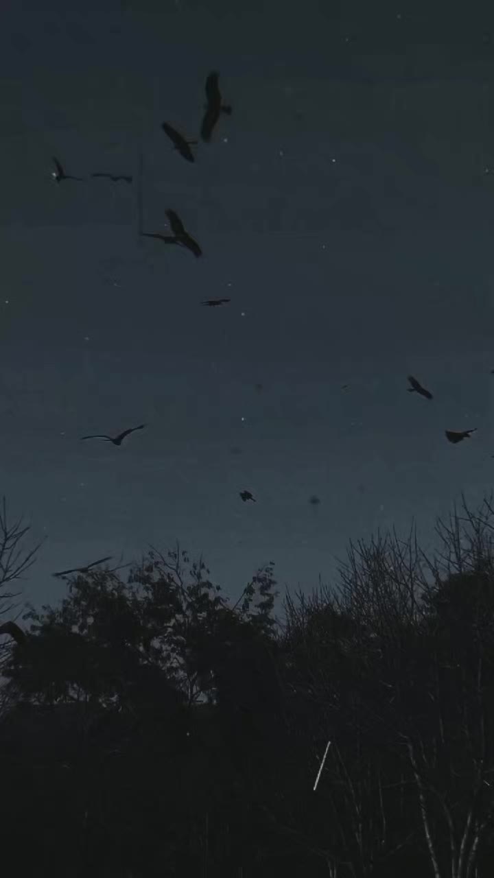 @ʜᴀɪᴅᴇʀɪ__wri8s