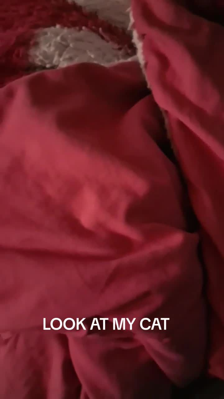 @Starᰔ