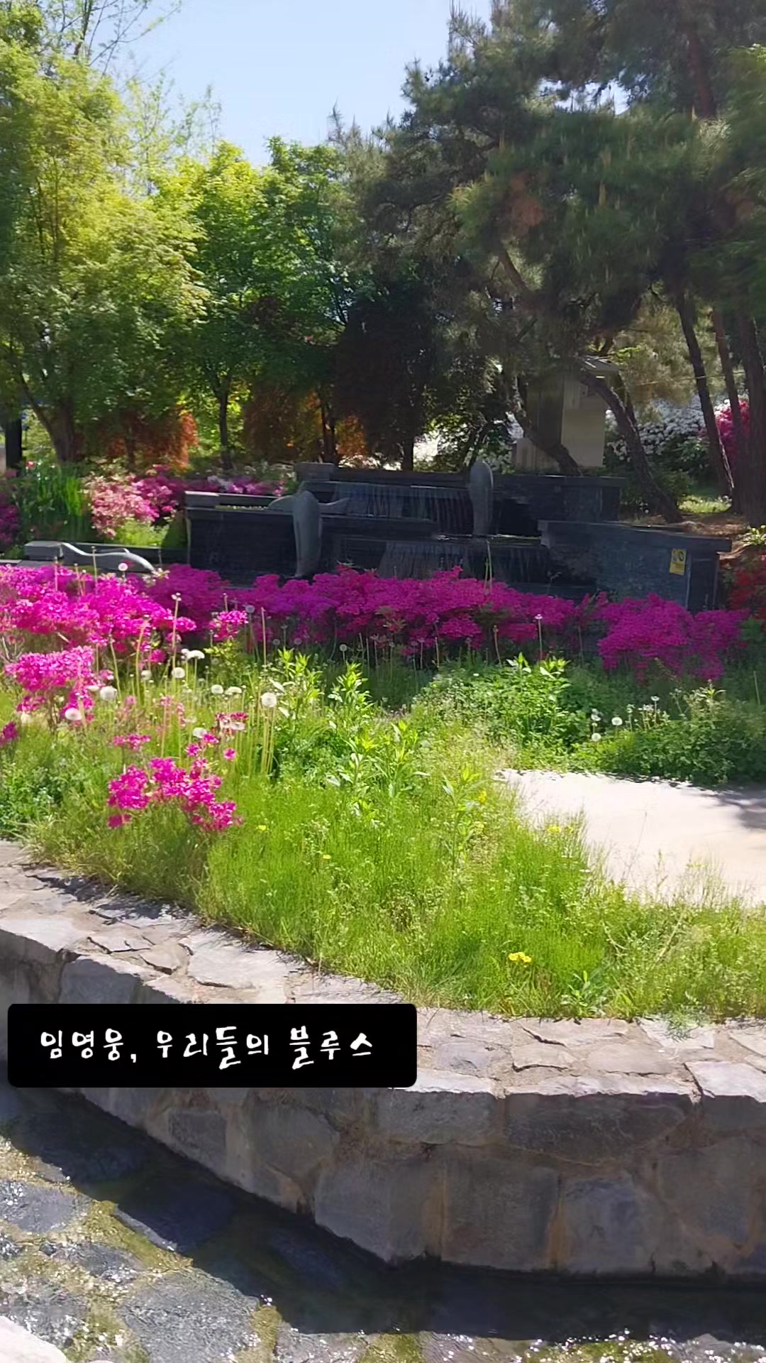 @맘껏웃어요