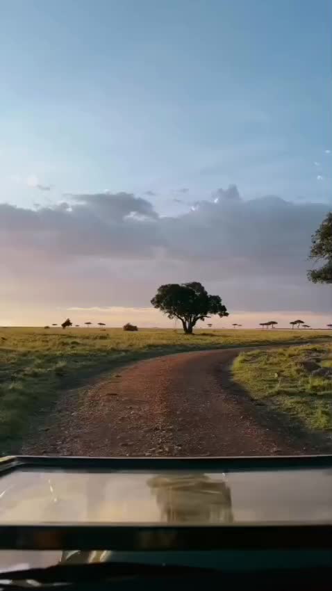 @Grand Summits and Safaris