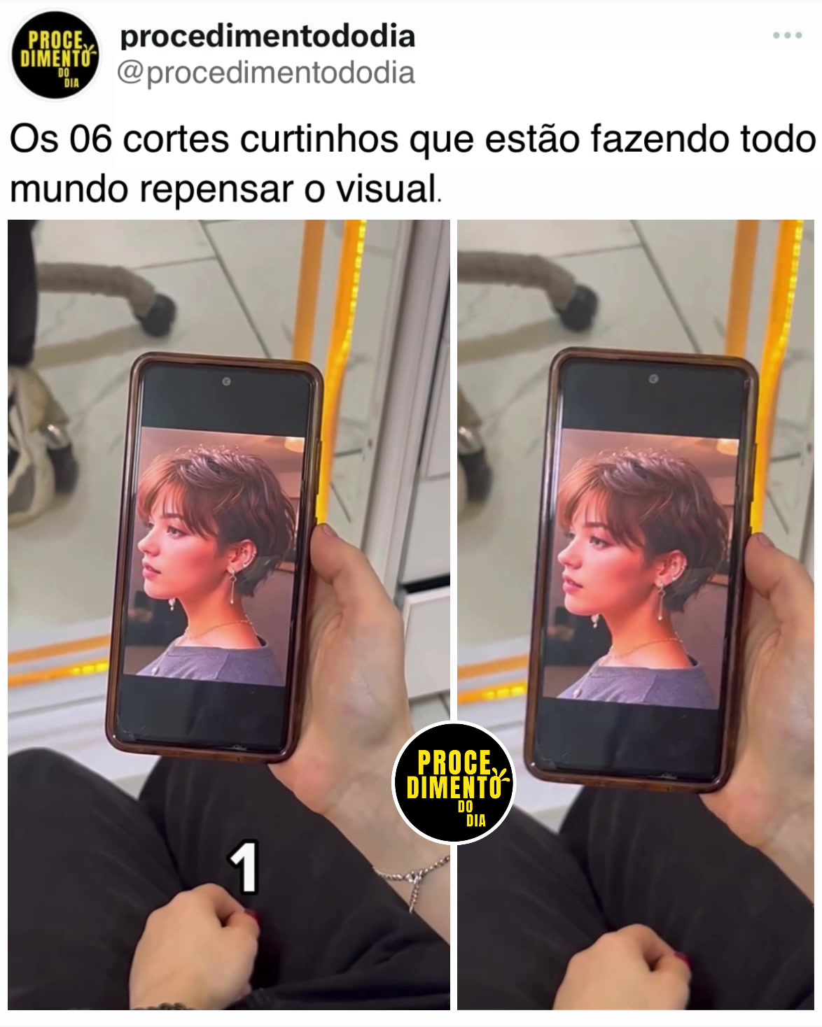 @procedimentododia