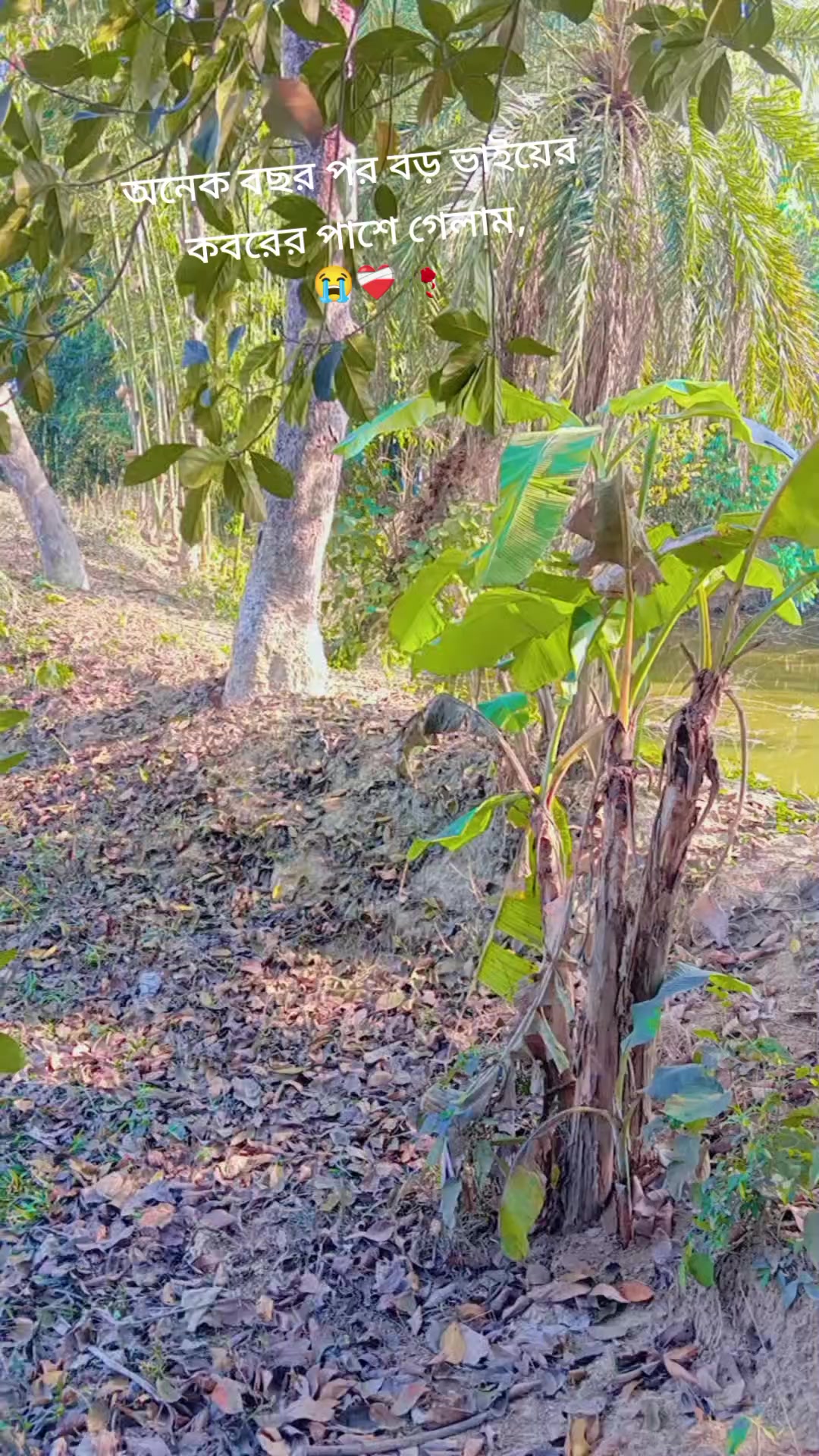 @🐸🙈_ভন্ড প্রেমী_🐸🙈