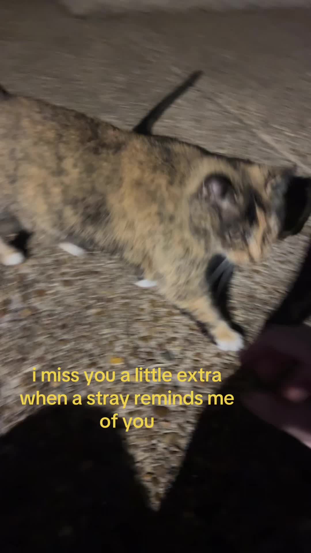 @mar_iscool💿🥨