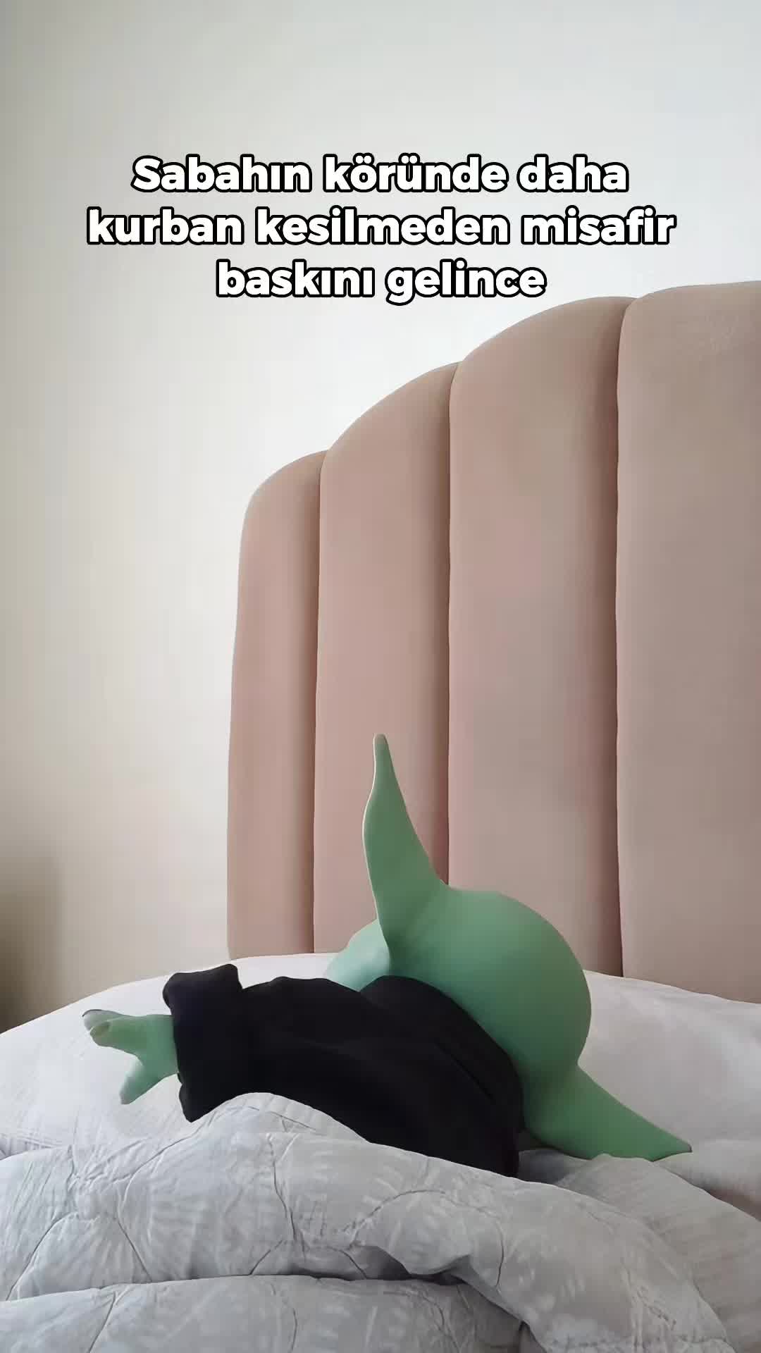 @Bebiş Yoda