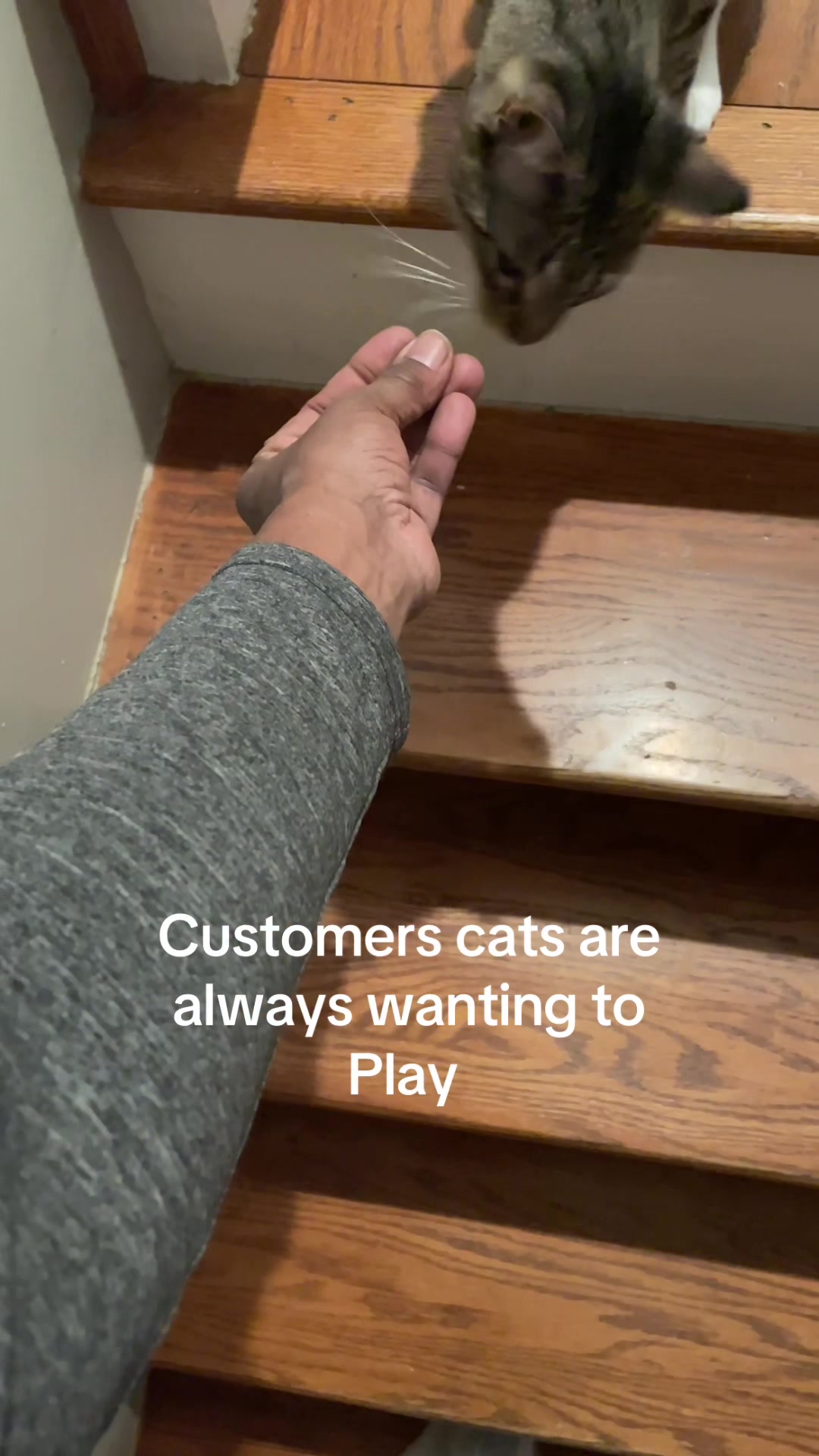 @Theductmanz