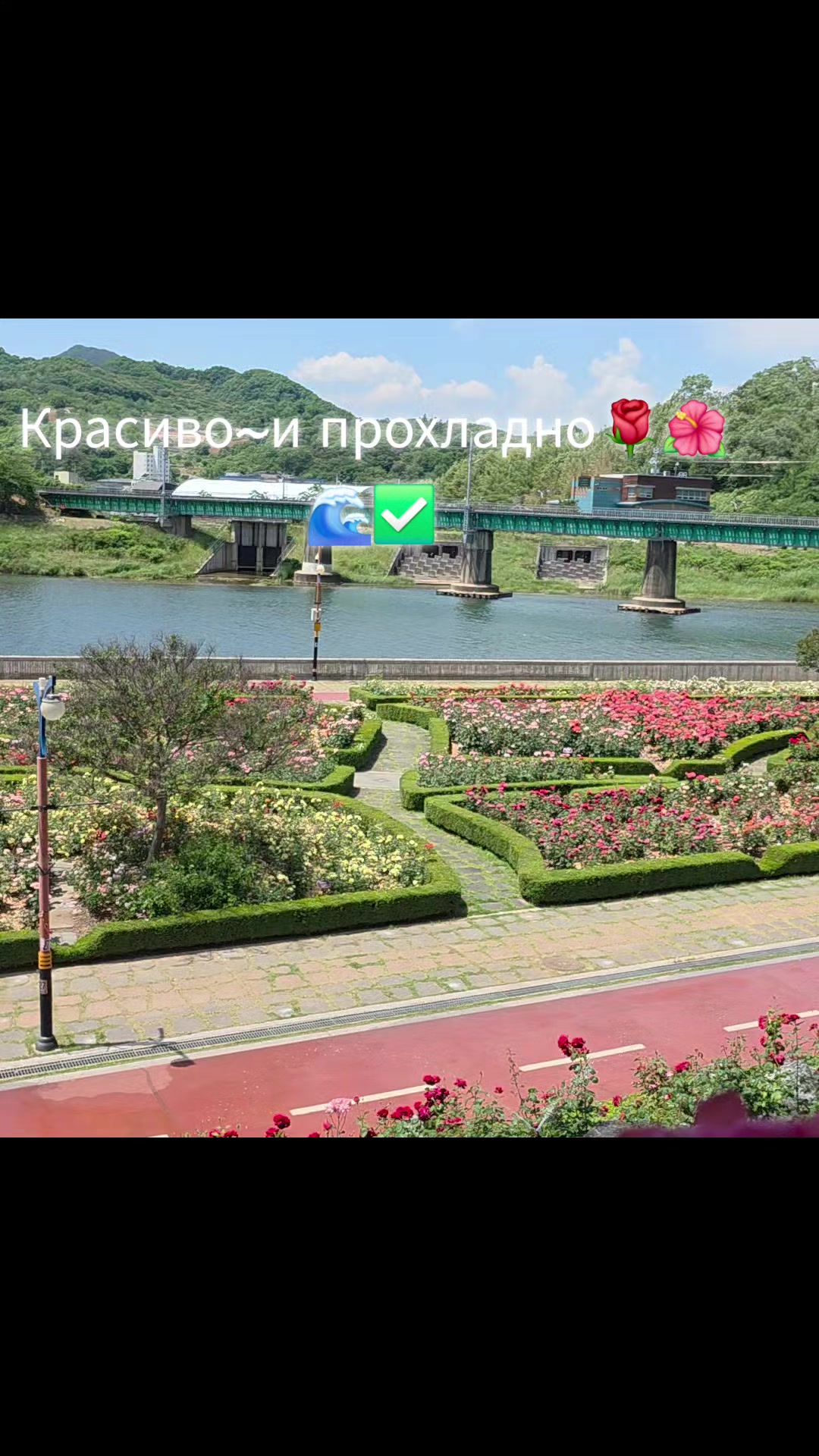 @Здоровый позвоночник♡Юж.Корея