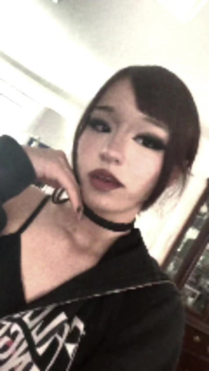 @^,,^