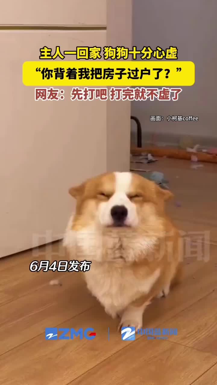 @中国蓝国际