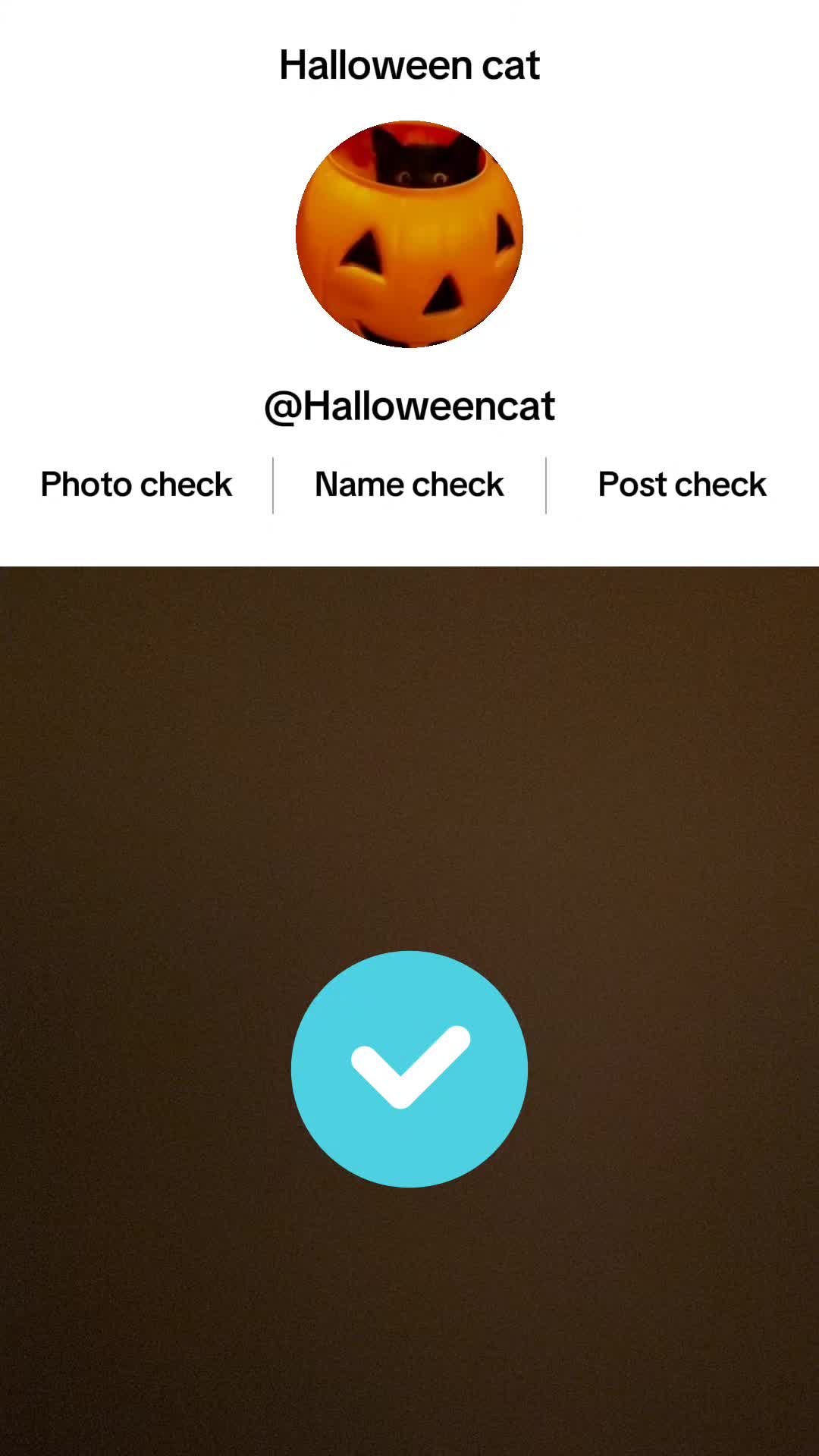 @Halloween cat