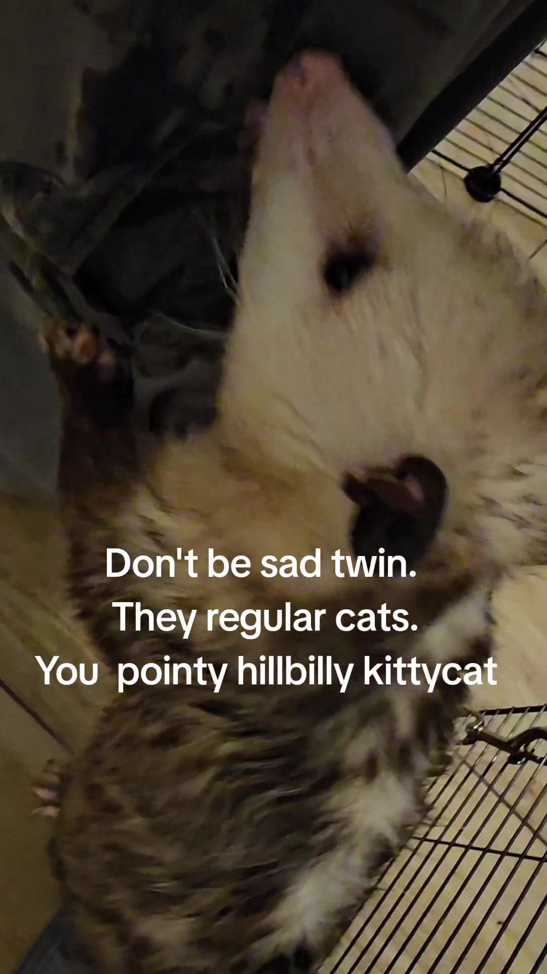@OPOSSUM/DOG MOMMA Dea