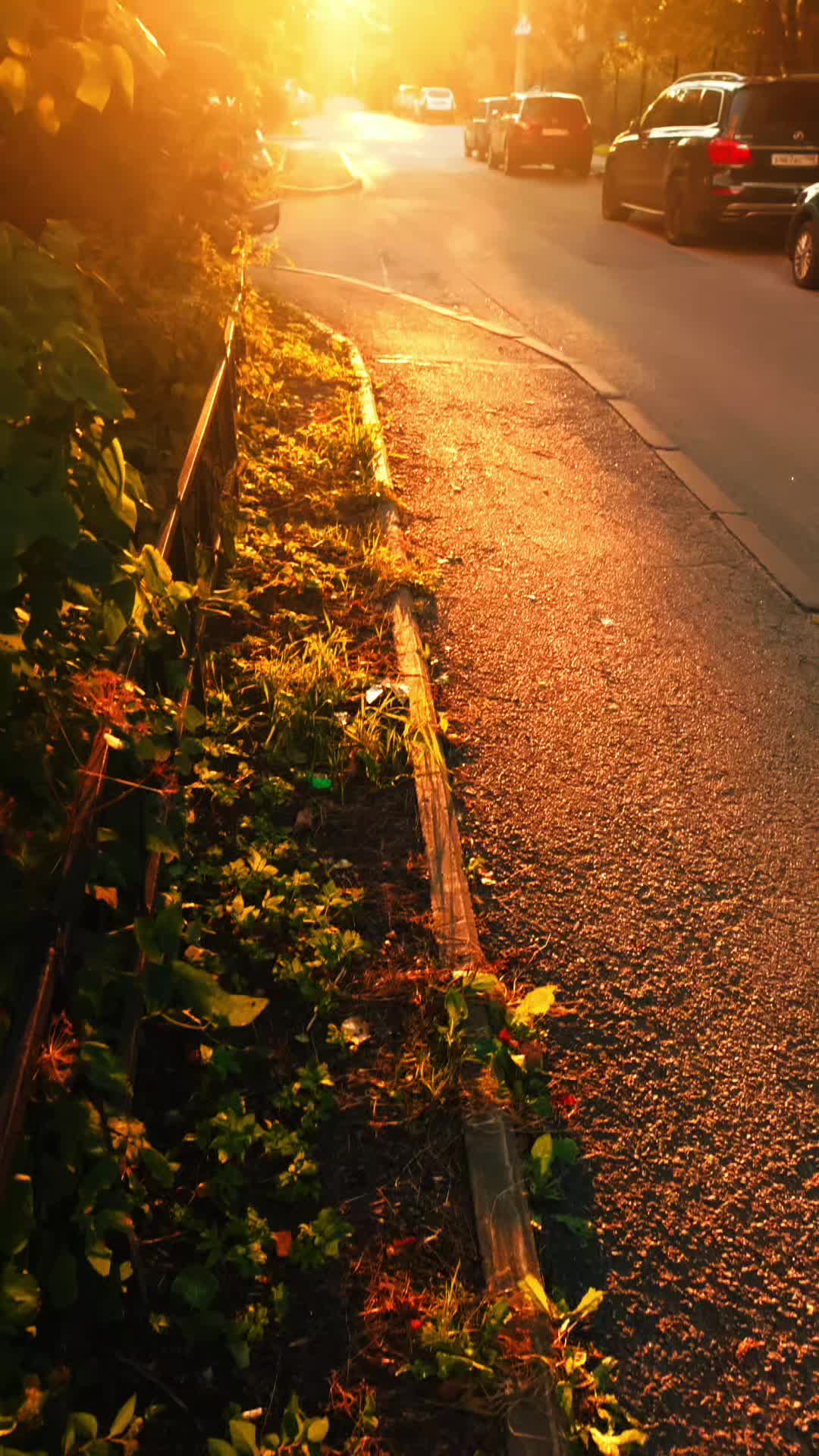 @✮Bliss✮