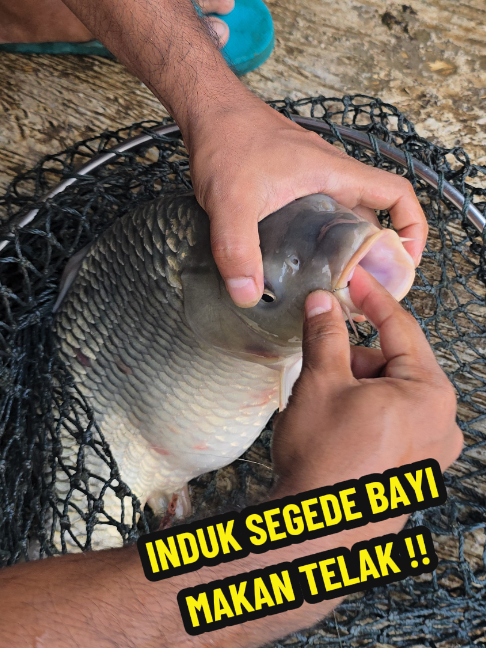 @SOBIRIN FISHING SHOP
