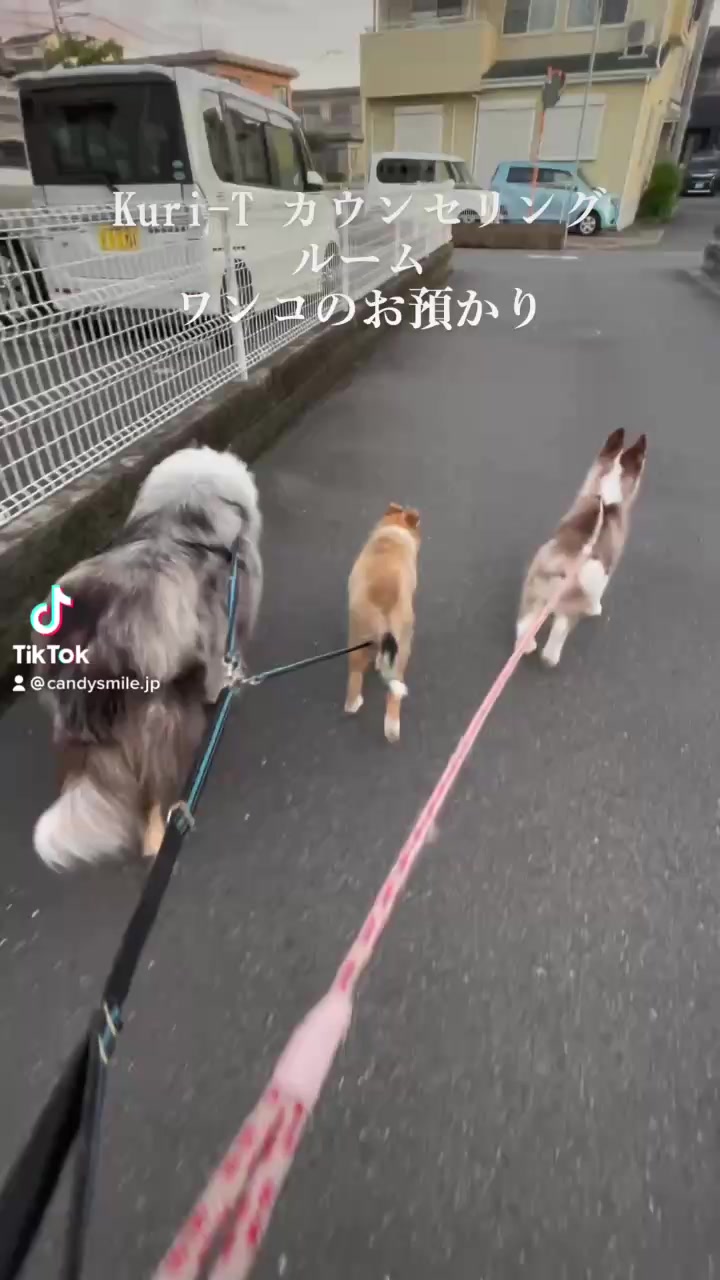 @Candysmile.jp