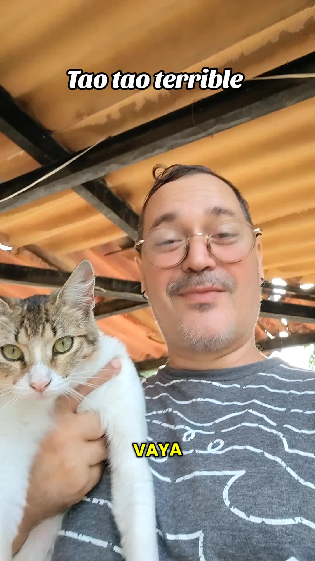 @Patitas y Garritas en la Calle