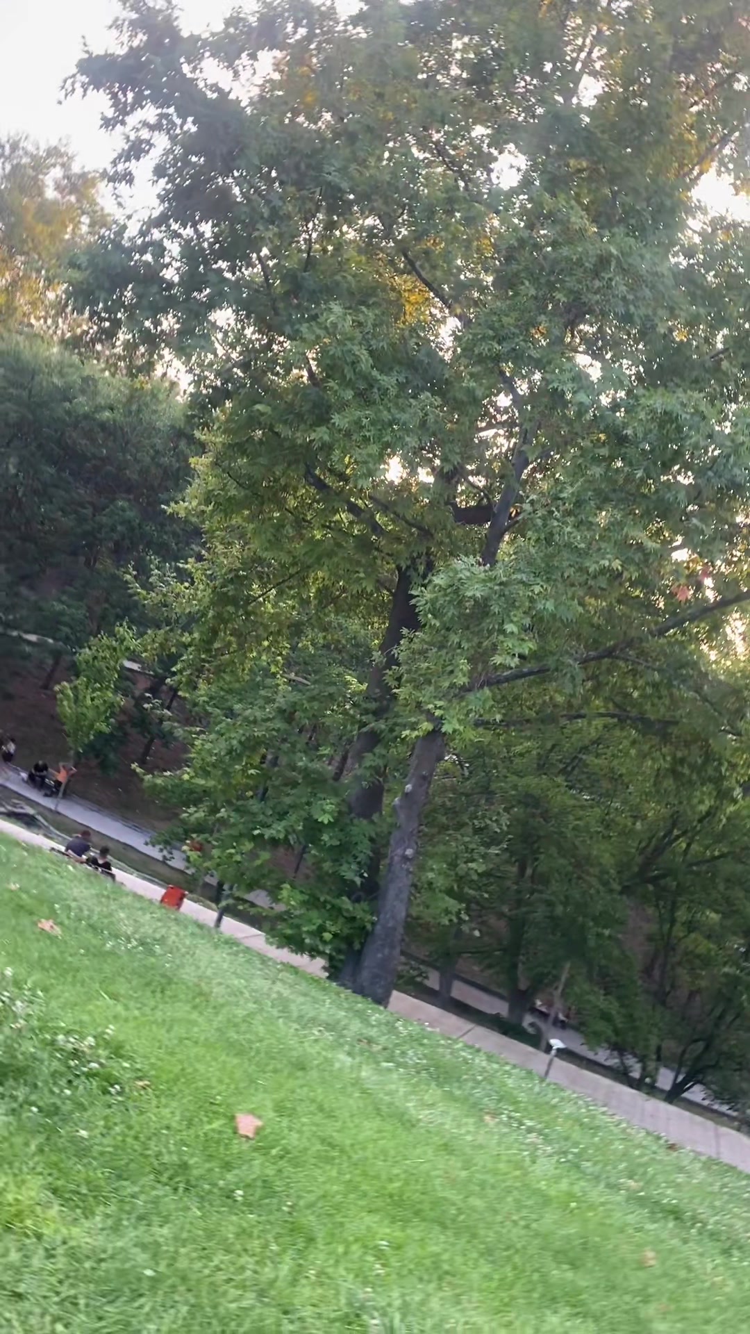 @yasinclx