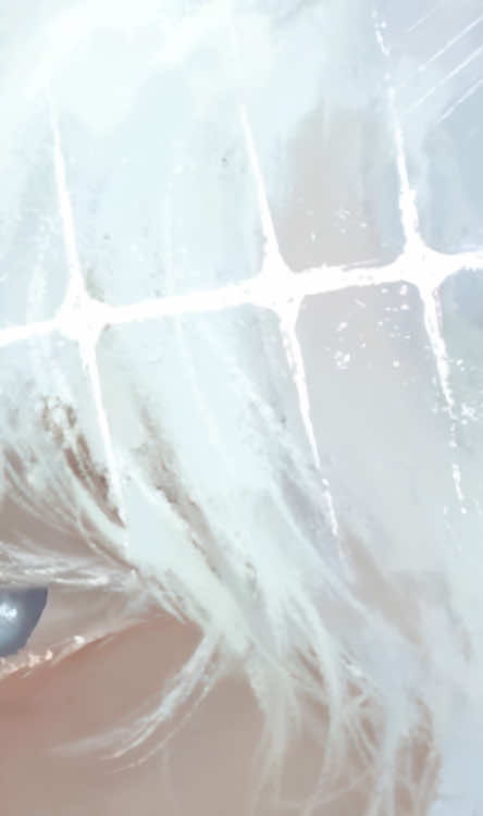 @-ˏˋ꒰ ハルア┊𝐇𝐚𝐫𝐮𝐚 ⸝⸝ ꒱ 🦊