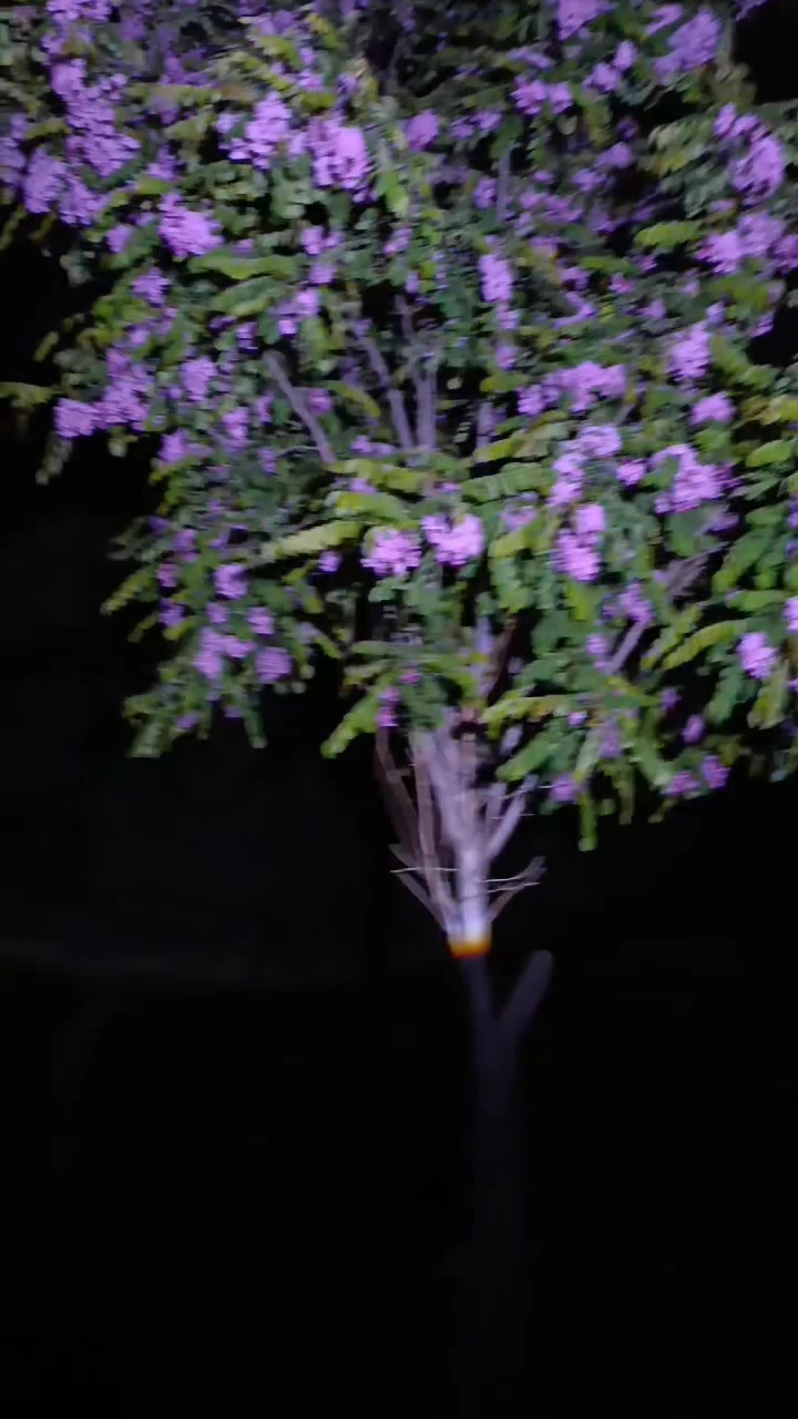 @ɯǝlɐnʞolı