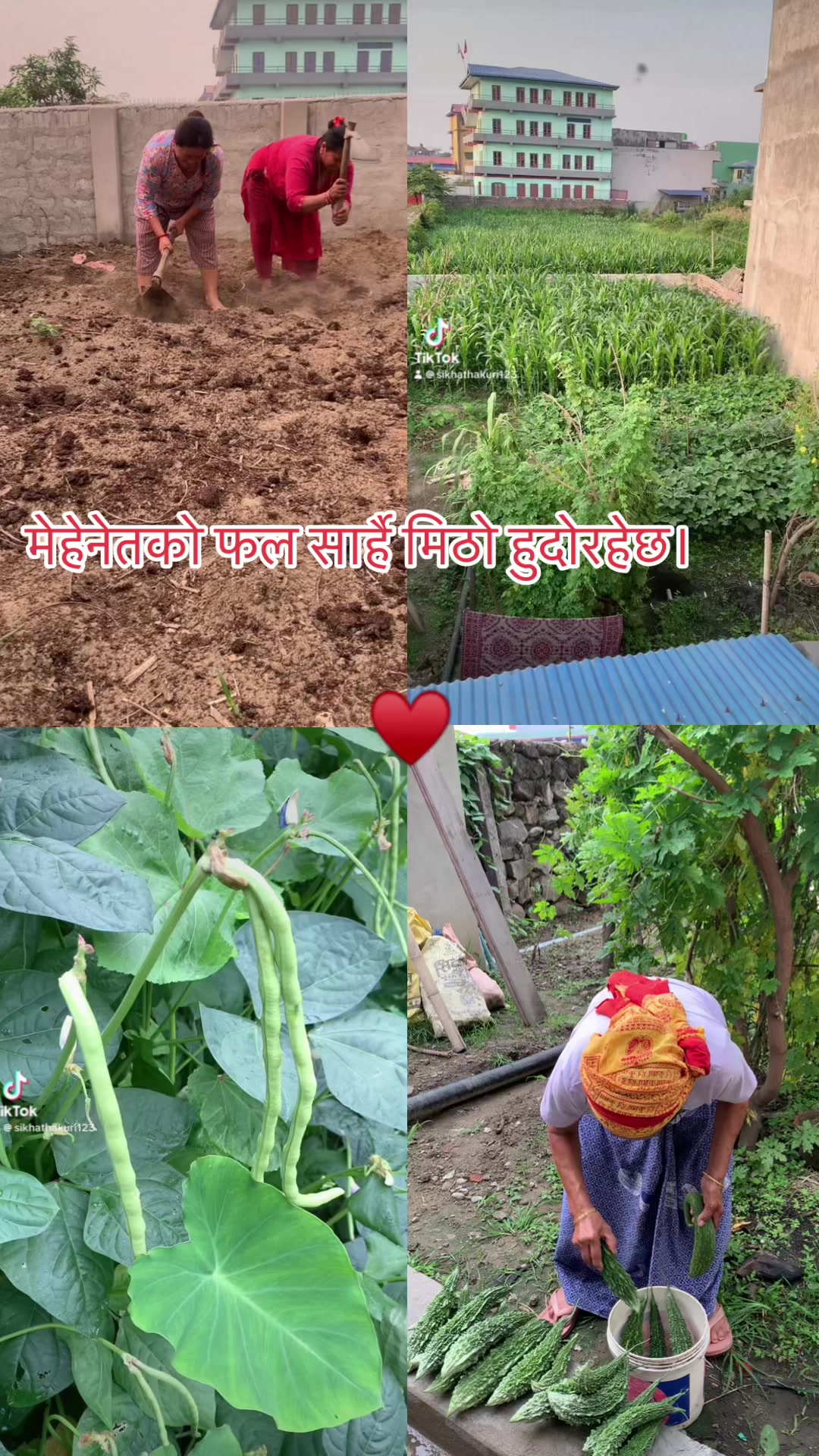 @sikha