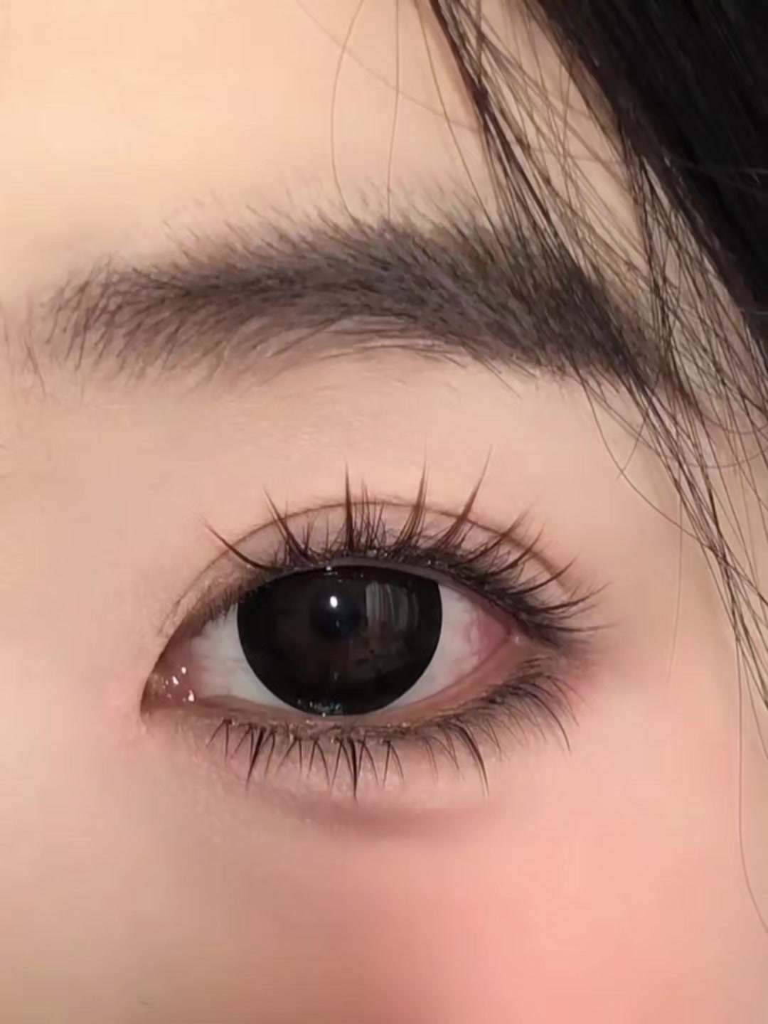 @Lì Tây Nguyên