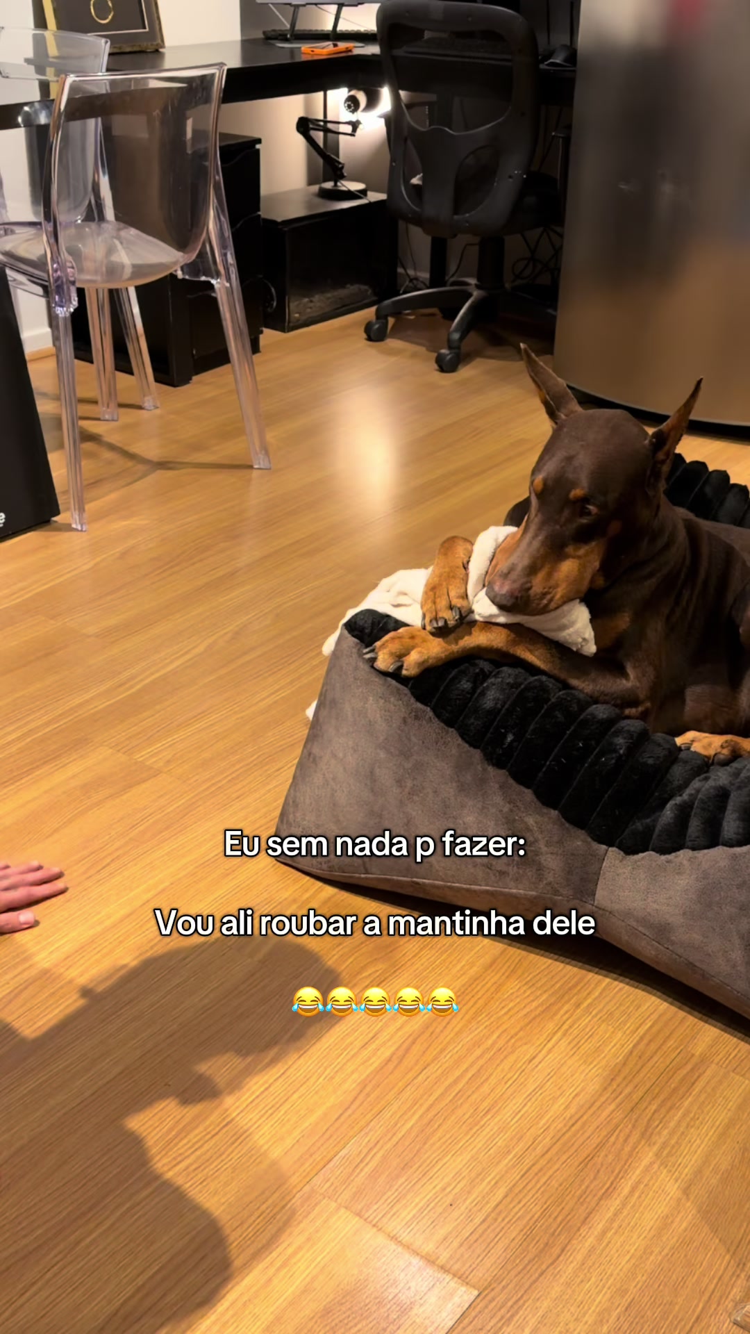 @Gabriel Di Garcia