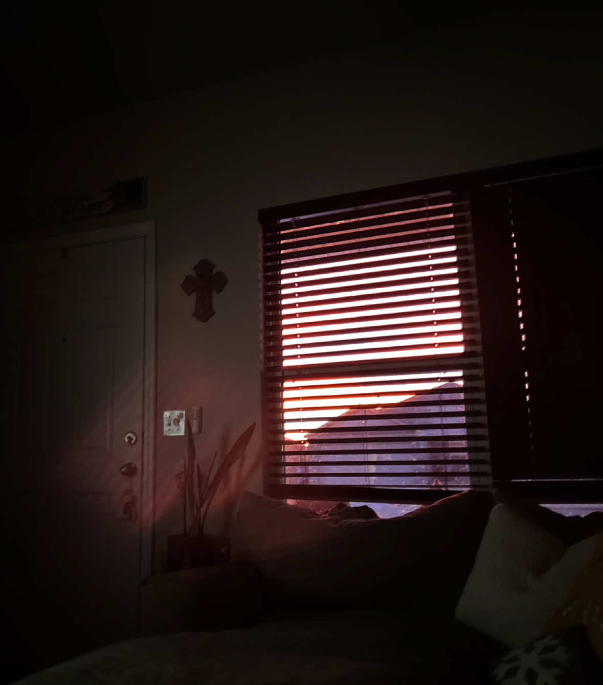 @drvgstorecowgirl