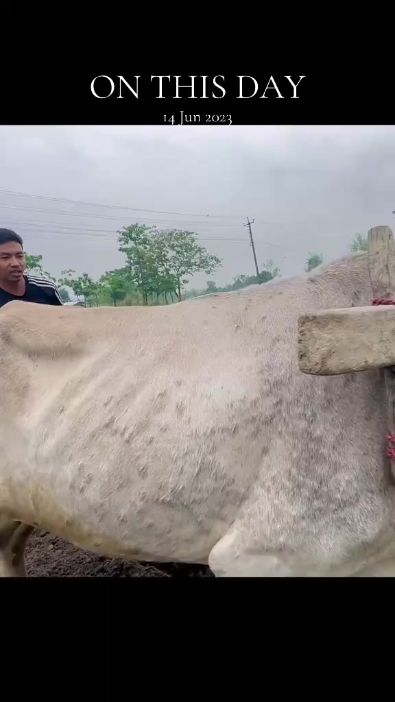 @Bikash Limbu Tumbapo