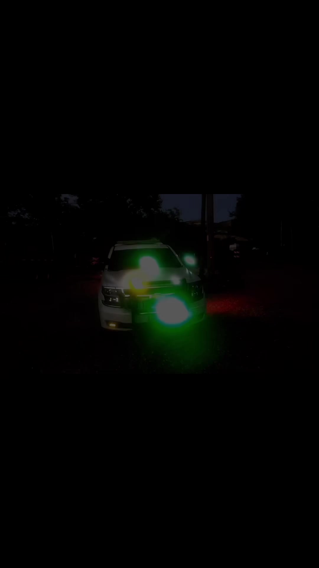 @punisher_utiltyverde