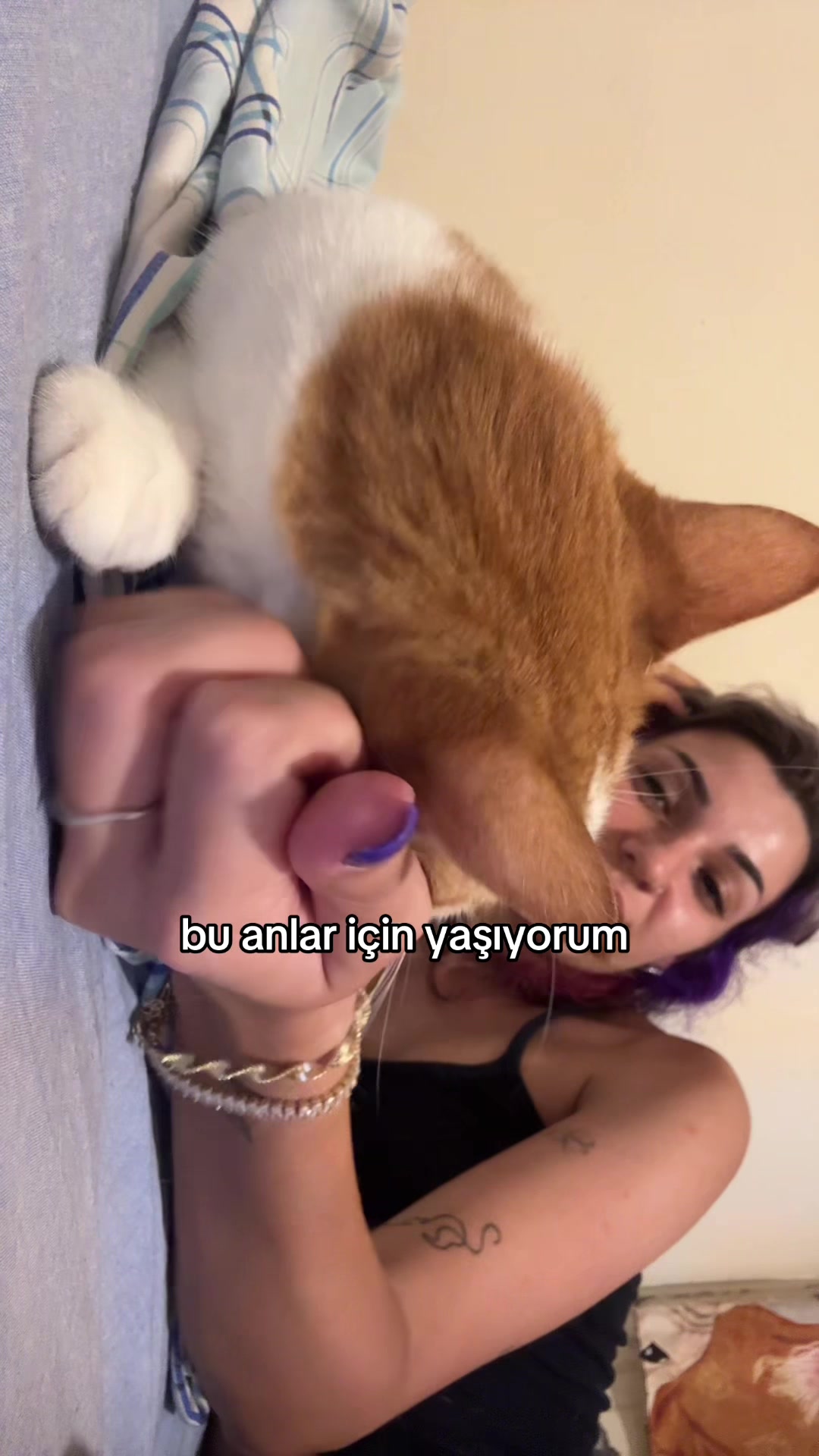 @sena