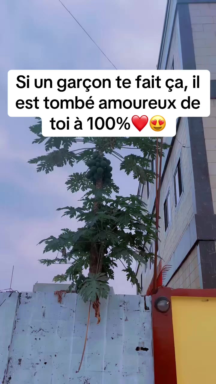 @Nouthi2_officiel🍏🪺