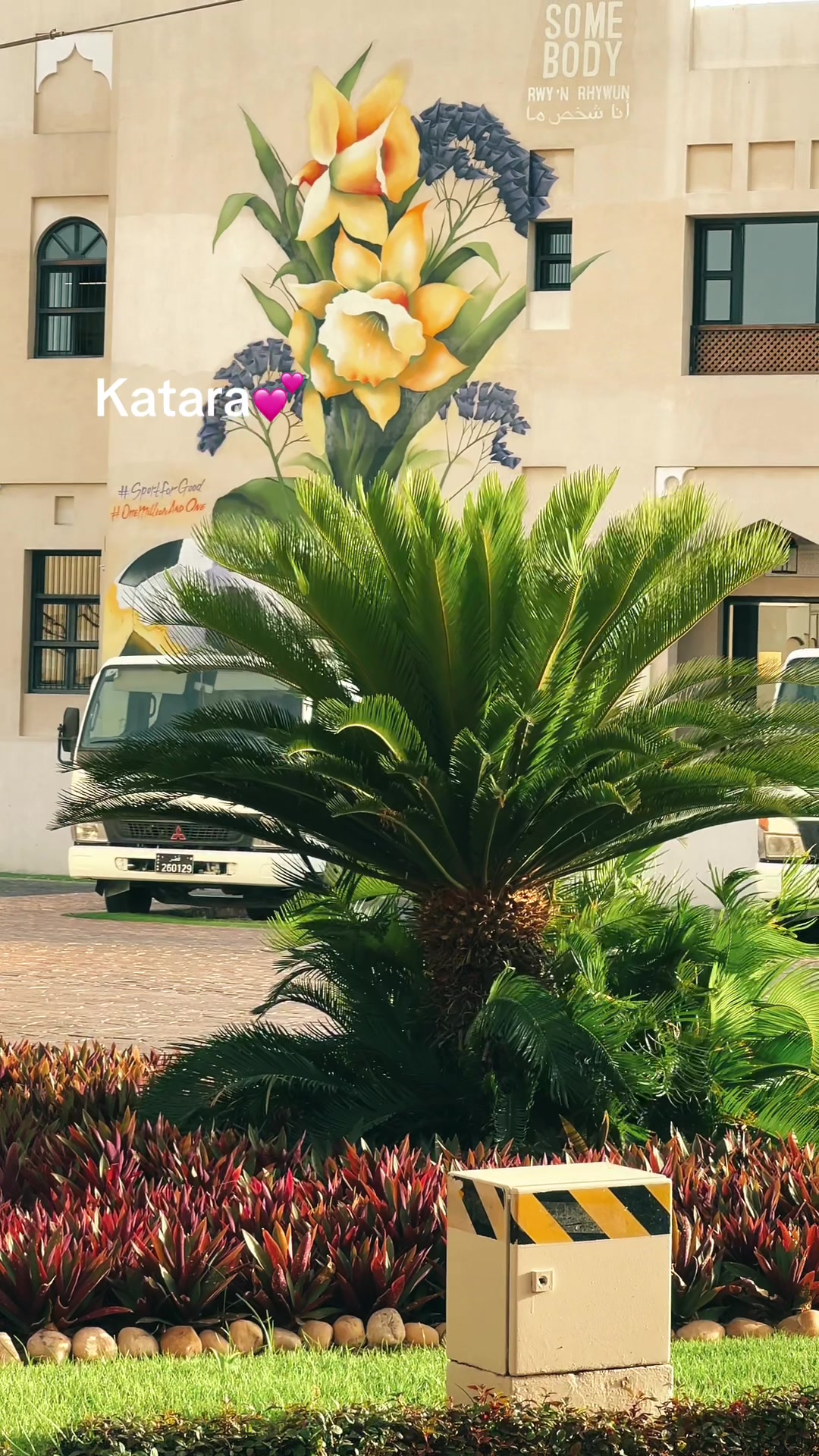 @♥ღ𝓼𝓾𝓫𝓻𝓸❥𝓼𝓸𝓻𝓷𝓪♡♥