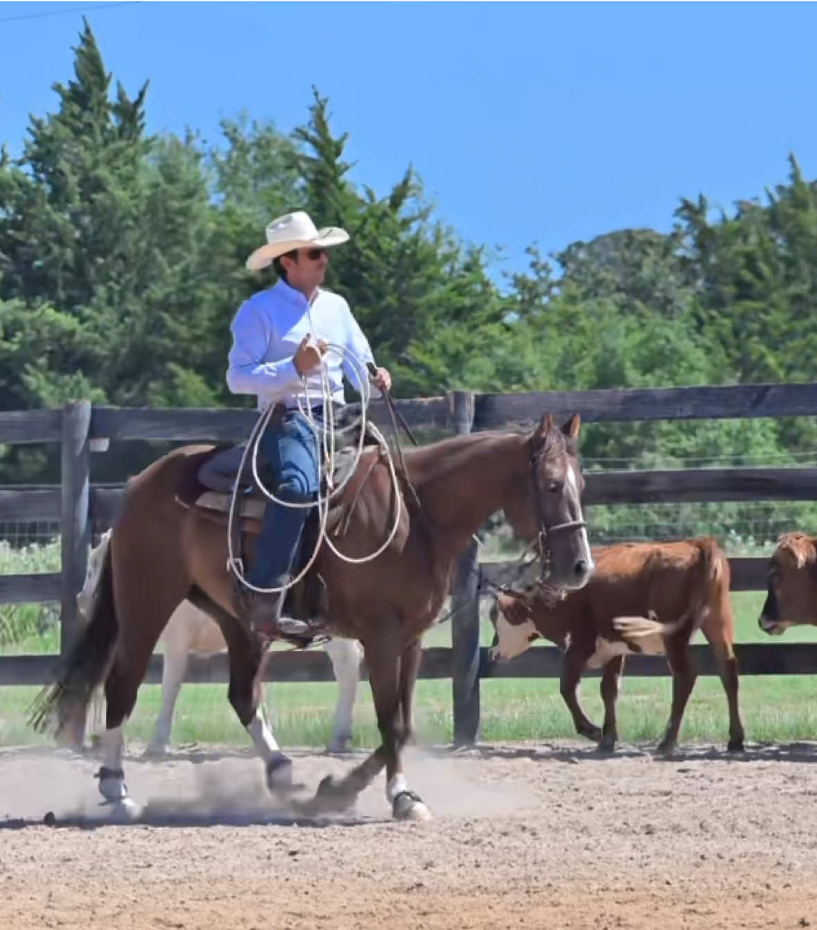 @HD Performance Horses