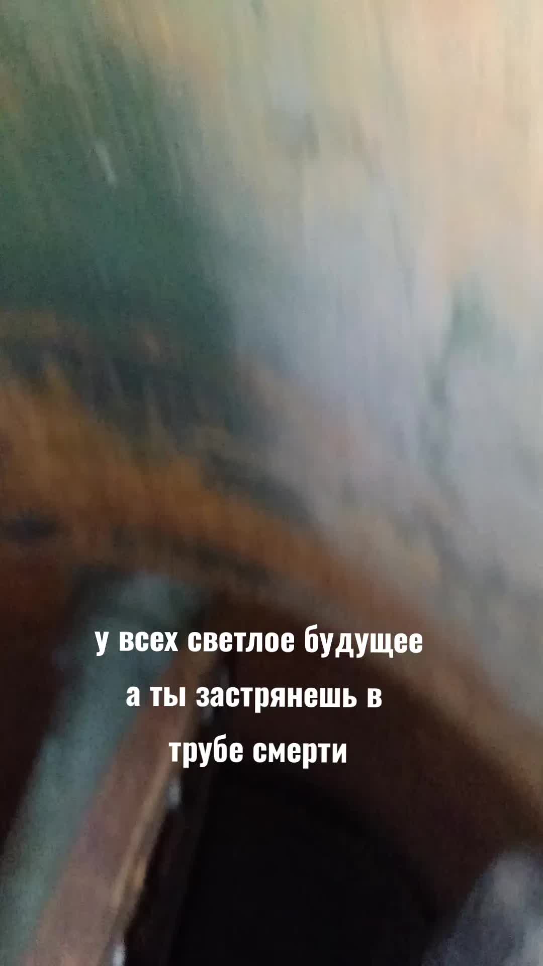 @FaZa🚷DoZor_RZN☢️