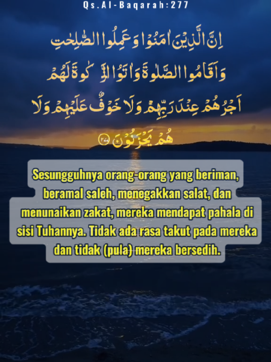 @Farida Far