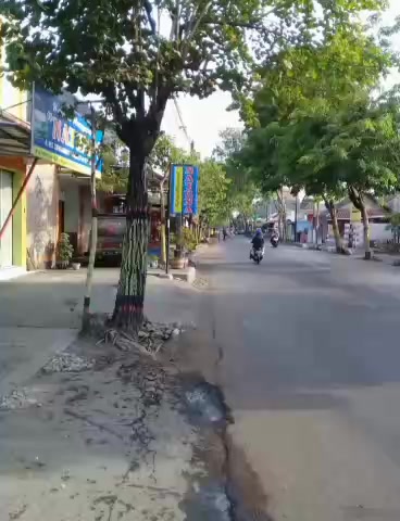 @Ali Natuna Probolinggo