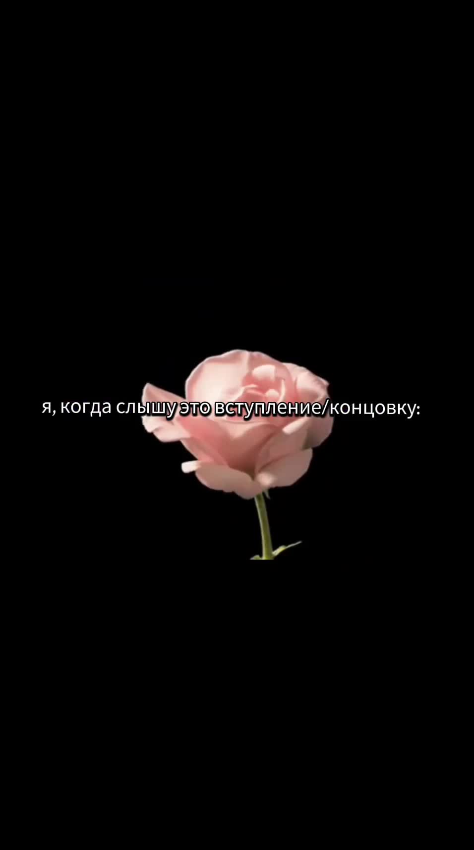 @ollewq