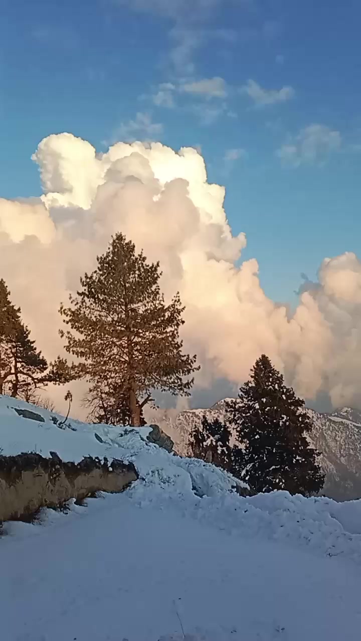 @Arshei