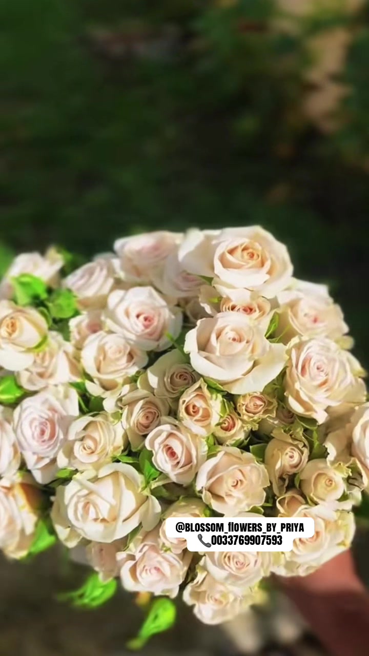 @Blossom_flowers_by_priya