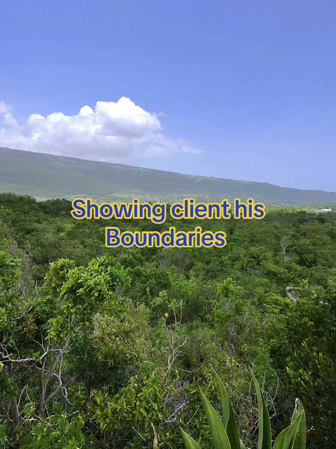 @jamaicasurveyors