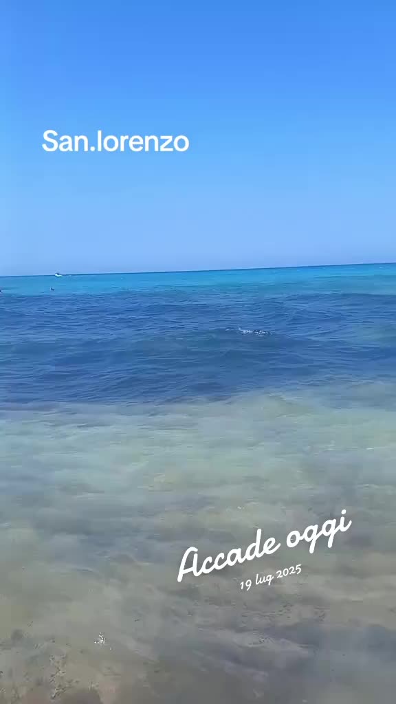 @Maria Giuffrida