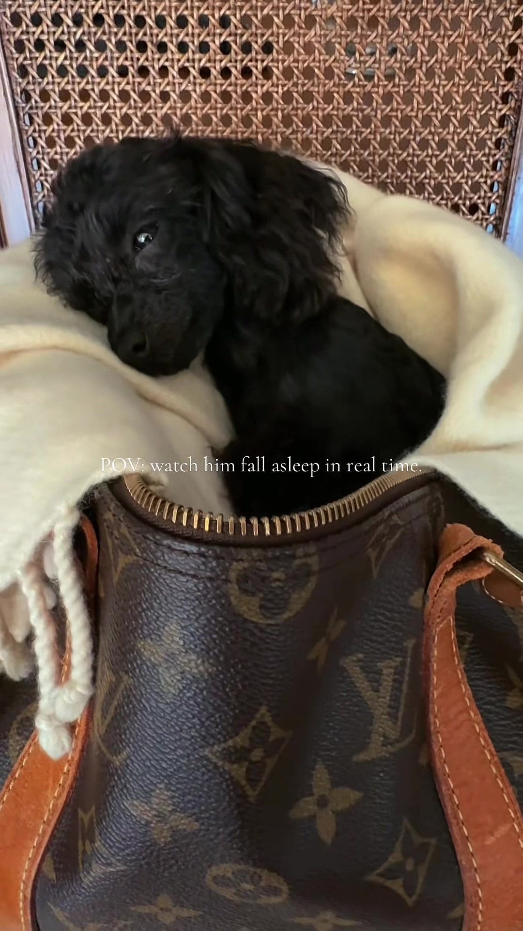 @packwalkdiaries