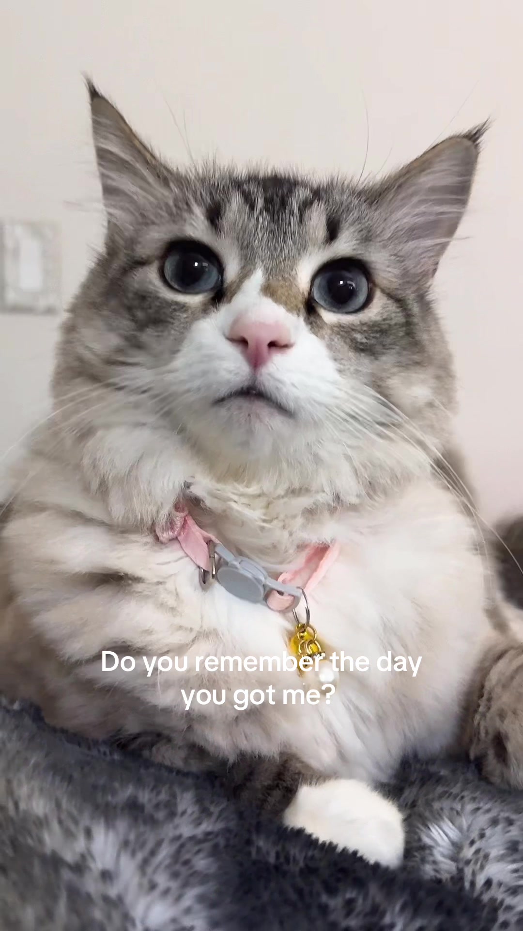 @beheshtxx