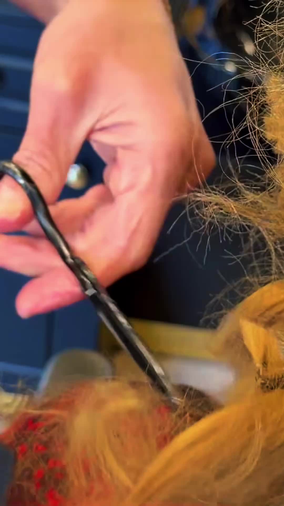@HAIR ASMR
