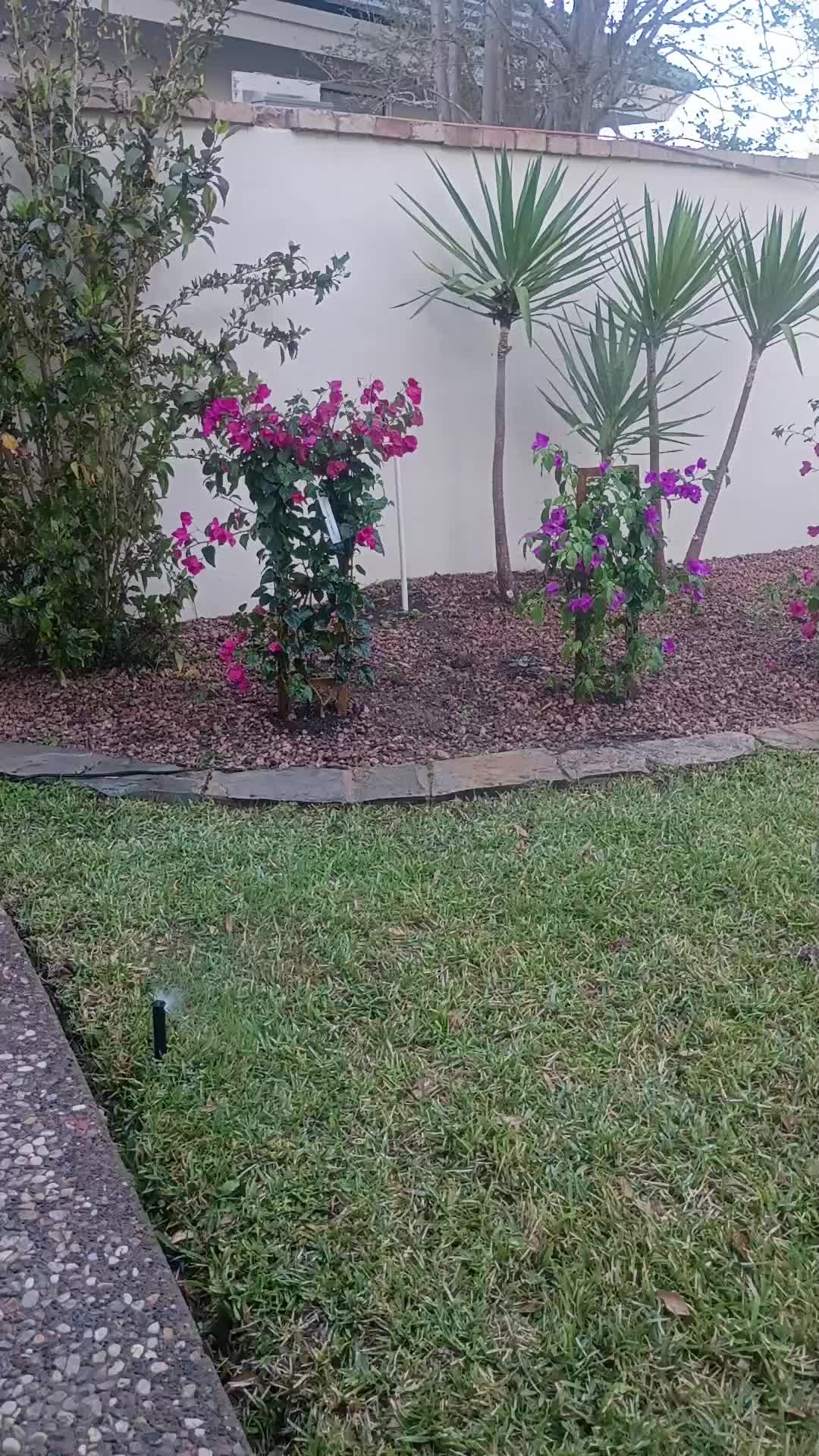 @luna Pérez
