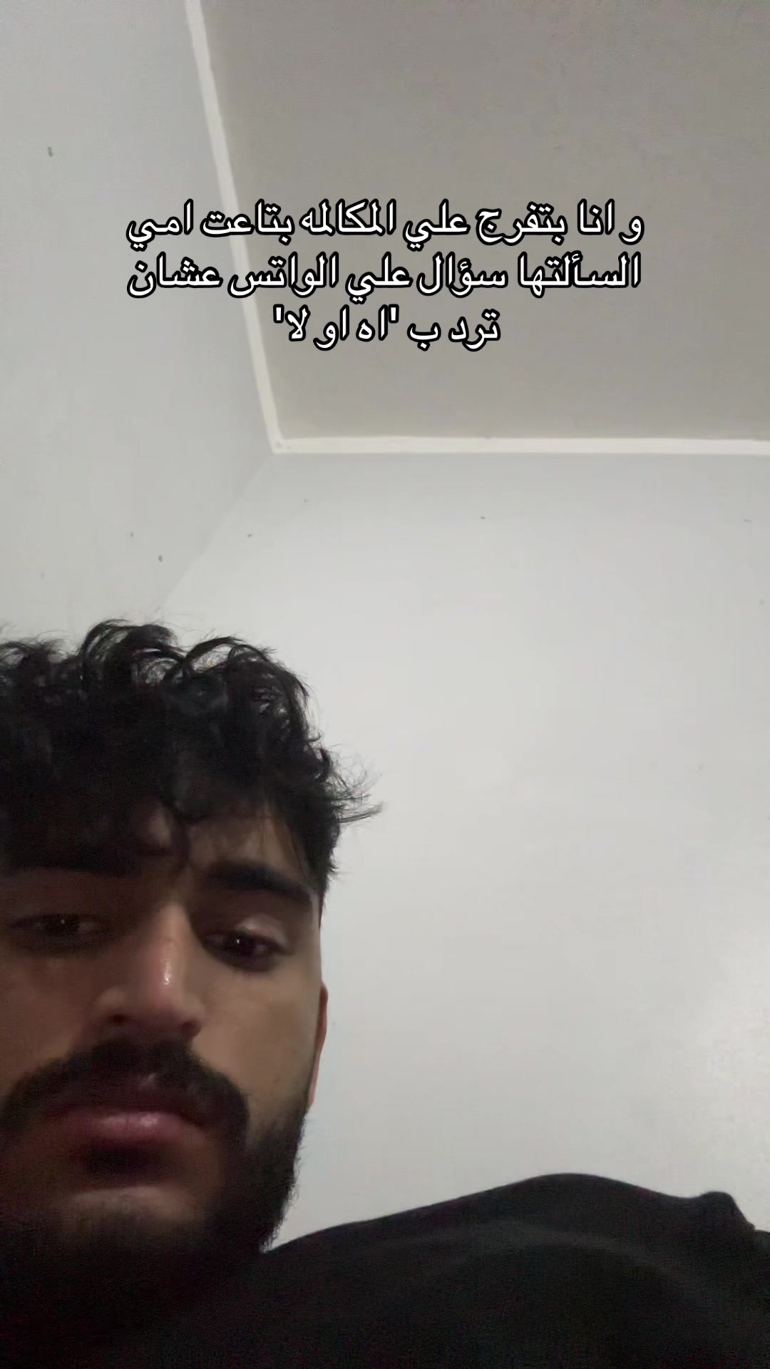 @Sehsbomb 🤯