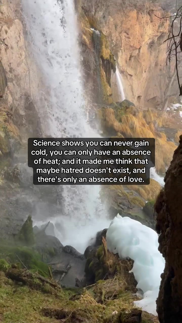 @HolisticHealingThoughts