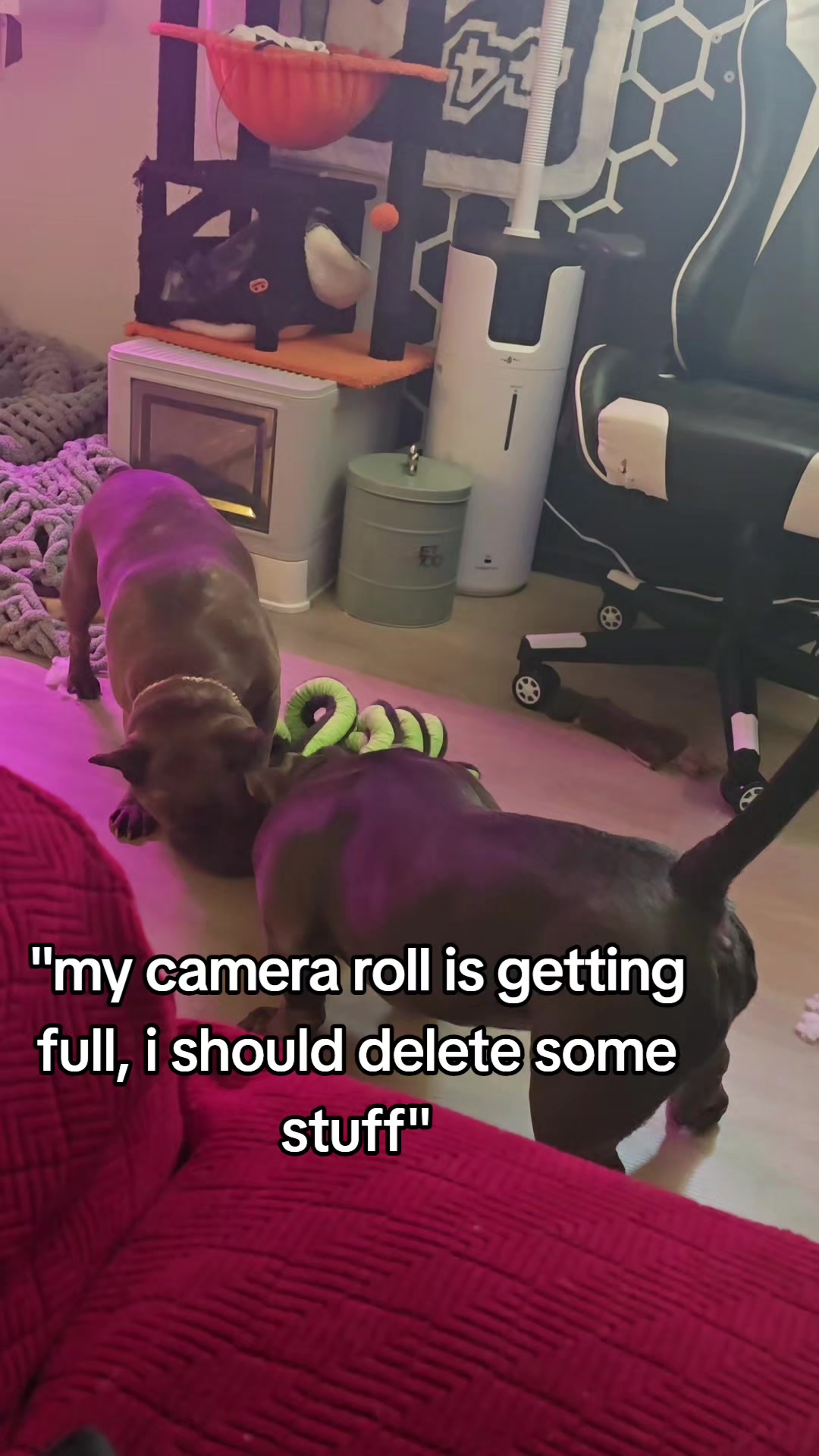 @Makayla