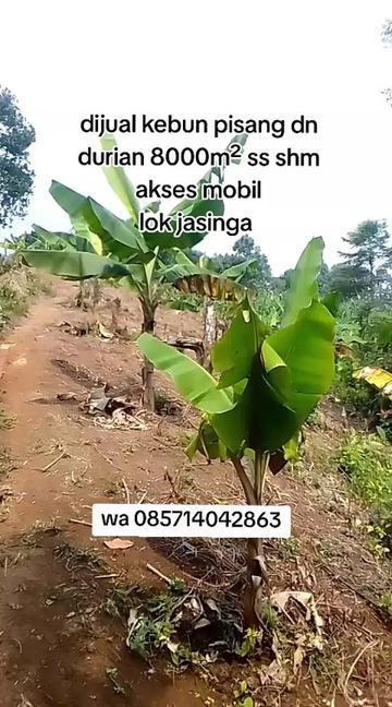 @all froperti