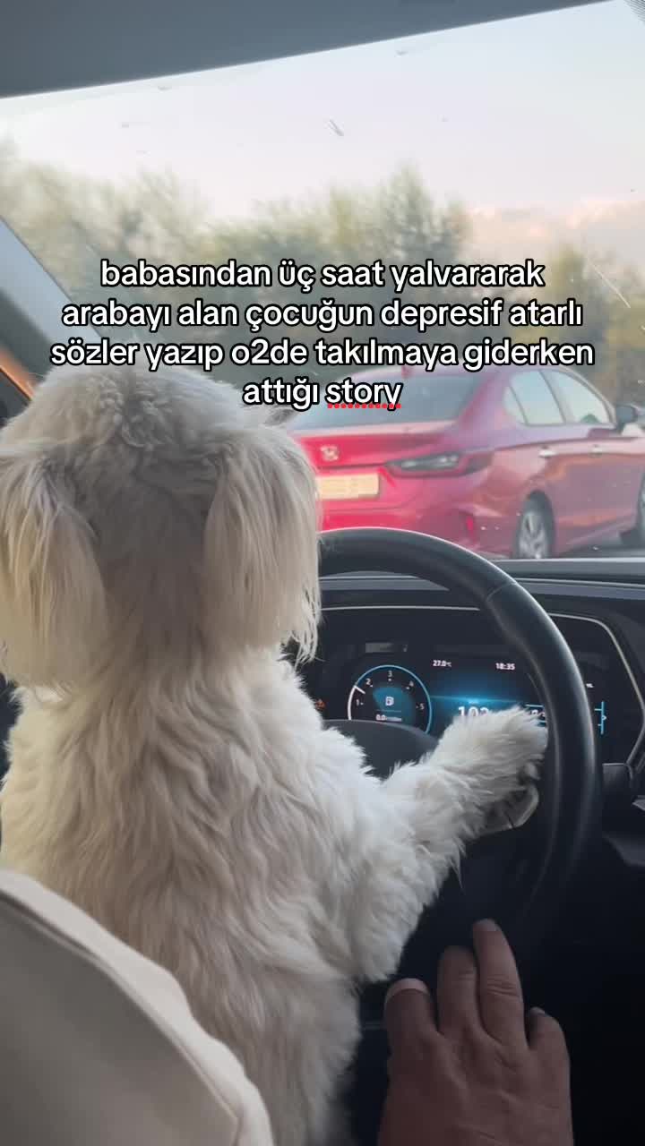 @suru