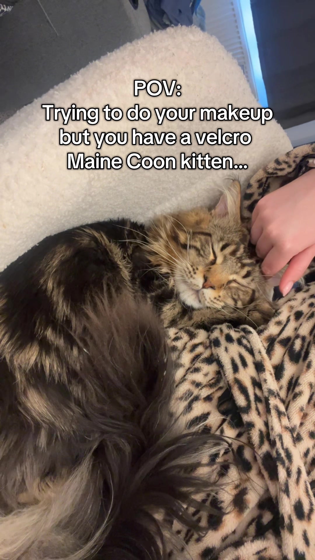 @Simba&Scar